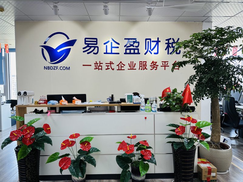 选择税务筹划服务:一份专业选购指南